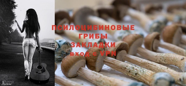 стафф Арсеньев