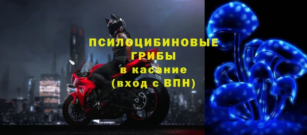 PSILOCYBIN Аркадак