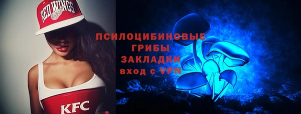 PSILOCYBIN Аркадак