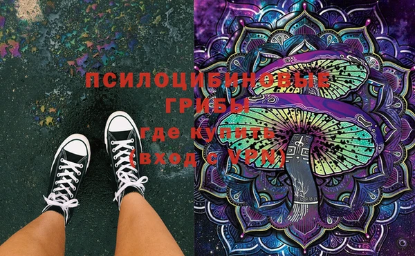 PSILOCYBIN Армянск