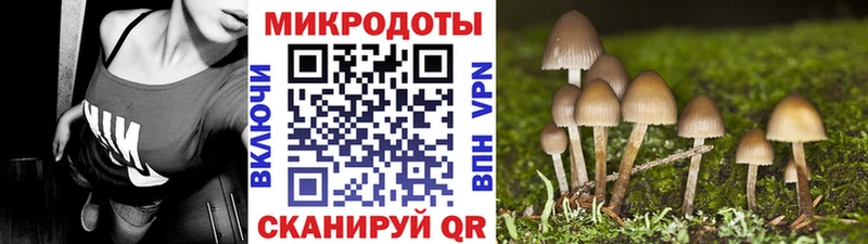 мориарти состав  Людиново  Галлюциногенные грибы мухоморы 